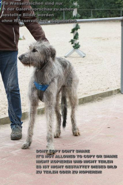 a_IMG_9161.JPG